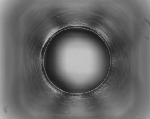 X0000091170990200708161455