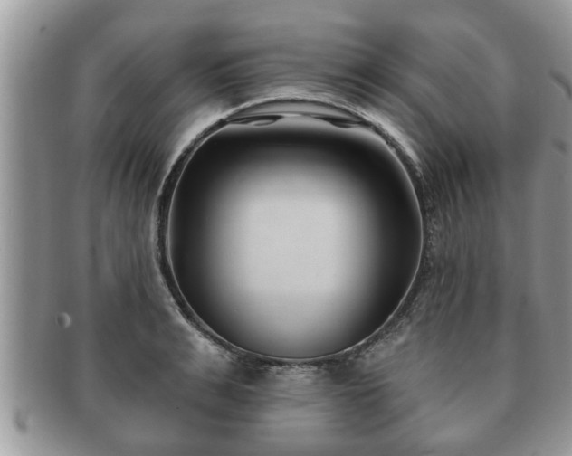 X0000091170991200708161455