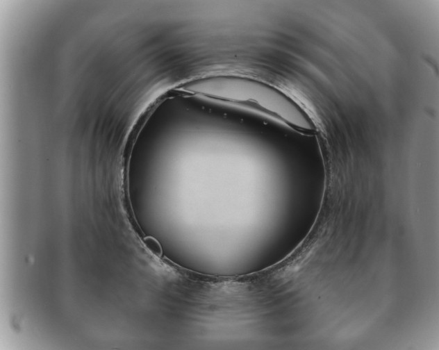 X0000091170992200708161455