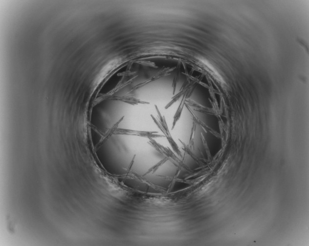 X0000091170994200708161455