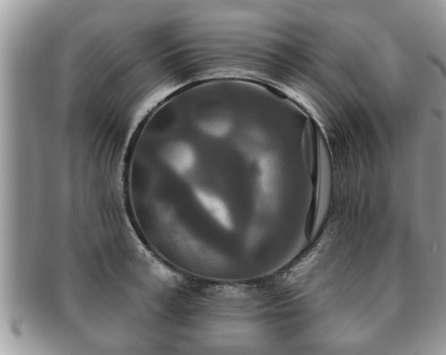 X0000091170995200708161455