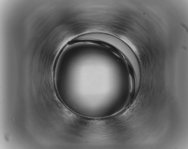 X0000091170996200708161455