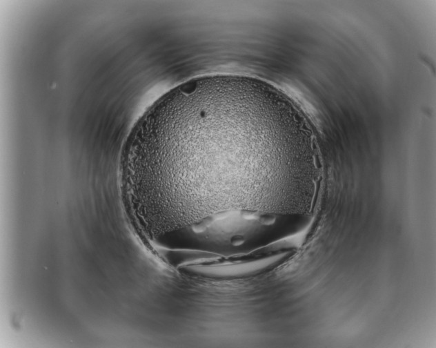 X0000091170998200708161455