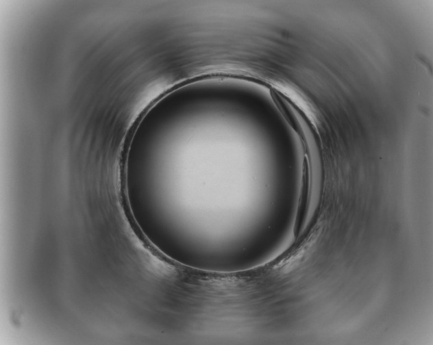 X0000091170999200708161455