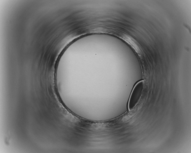 X0000091171000200708161455