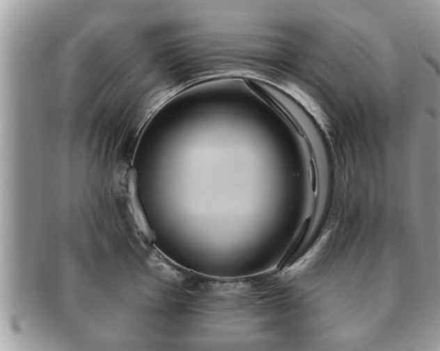 X0000091171001200708161455