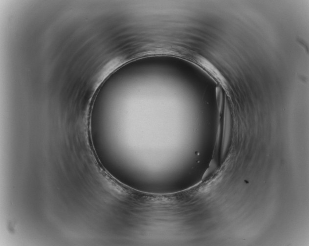 X0000091171002200708161455