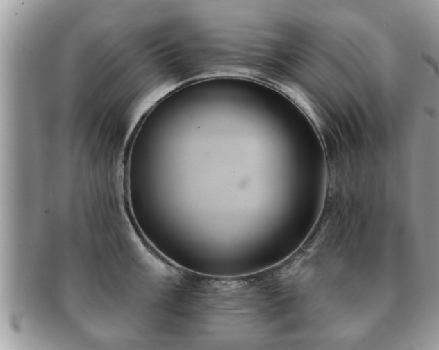 X0000091171003200708161455