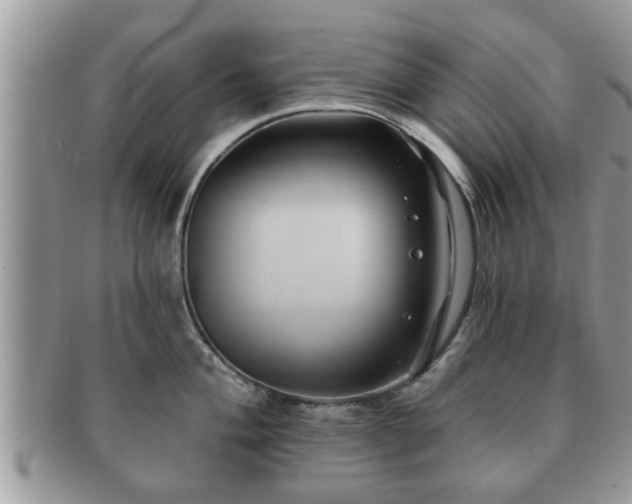 X0000091171004200708161455