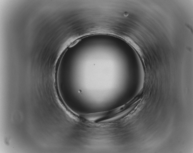 X0000091171005200708161455