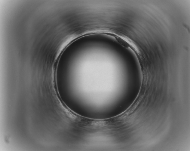 X0000091171006200708161455