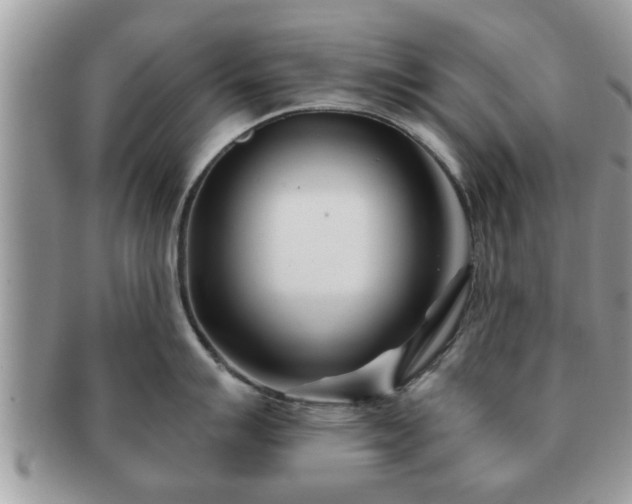 X0000091171007200708161455