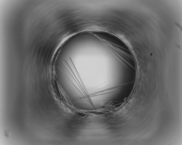 X0000091171008200708161455