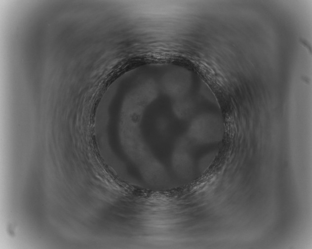 X0000091171009200708161455