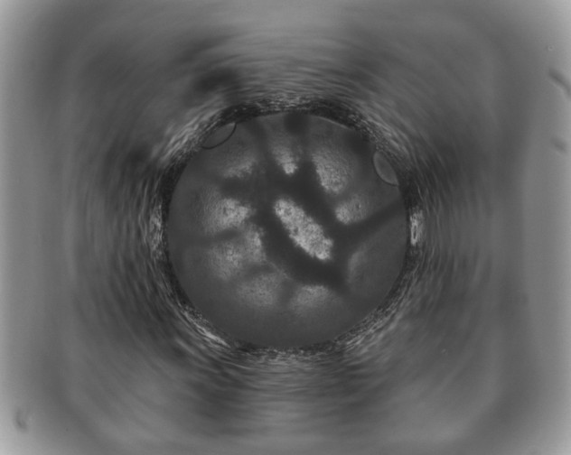 X0000091171011200708161455