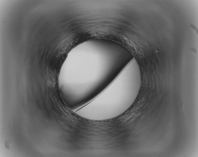 X0000091171012200708161455