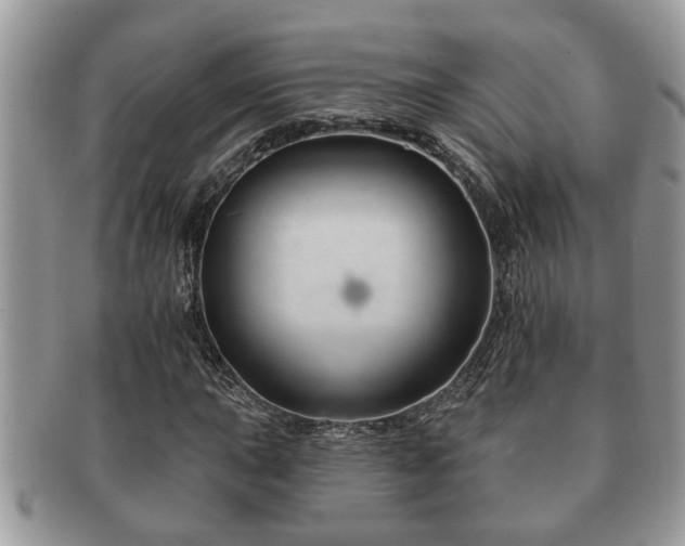 X0000091171015200708161455