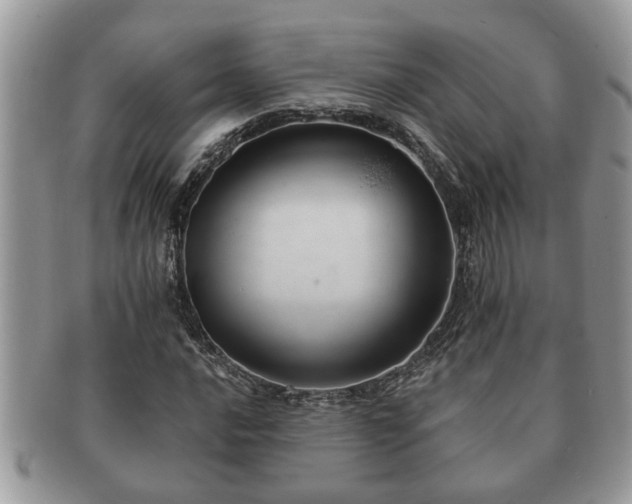 X0000091171016200708161455