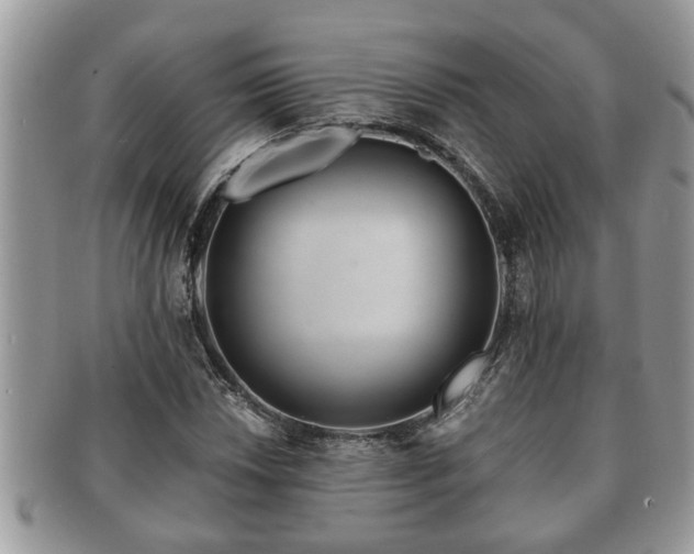 X0000091171018200708161455