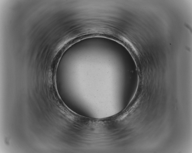 X0000091171019200708161455