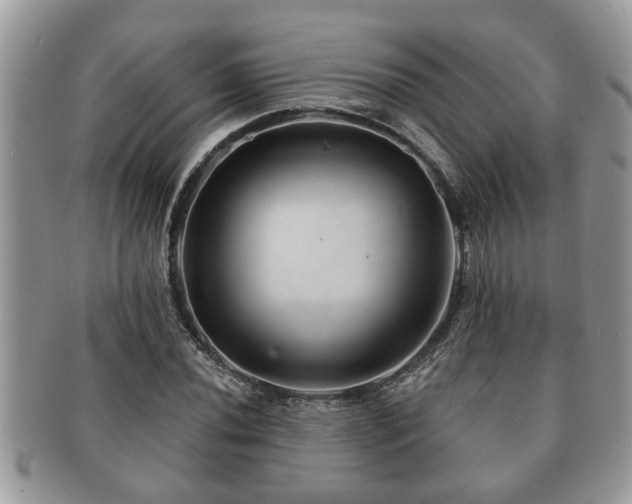 X0000091171020200708161455