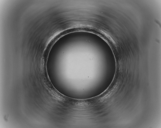 X0000091171021200708161455