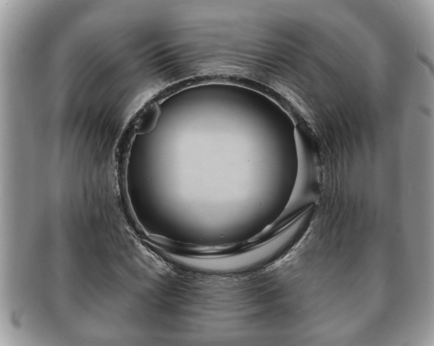 X0000091171022200708161455