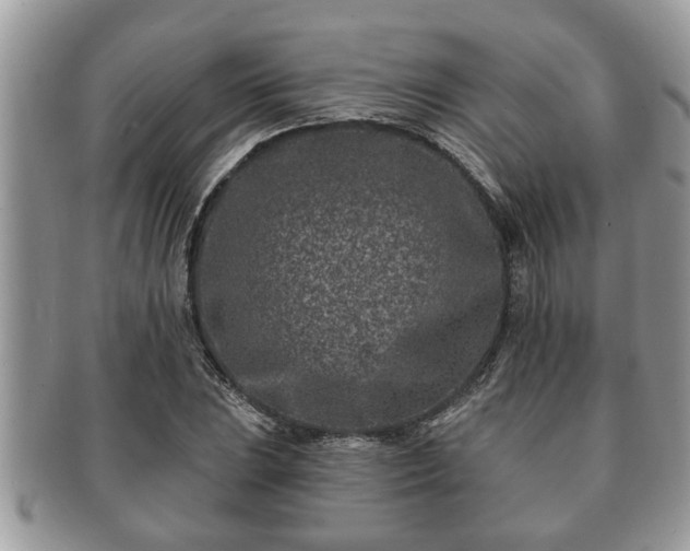 X0000091171023200708161455