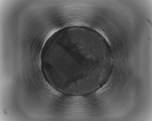 X0000091171024200708161455