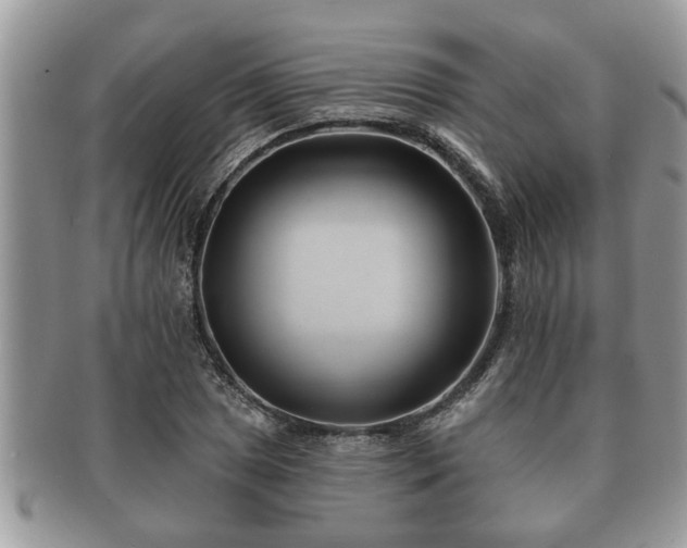 X0000091171025200708161455