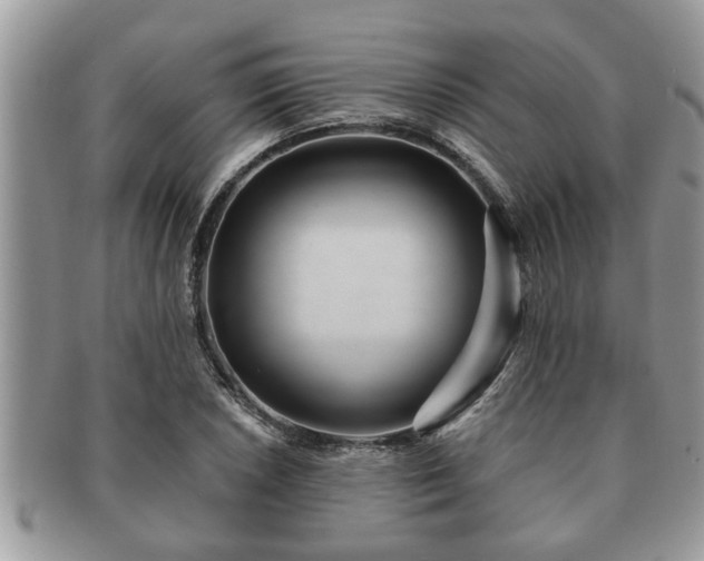 X0000091171026200708161455