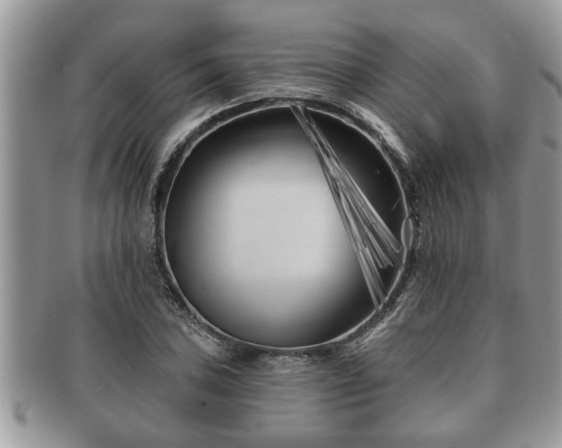X0000091171027200708161455