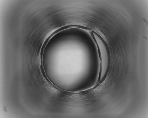 X0000091171028200708161455