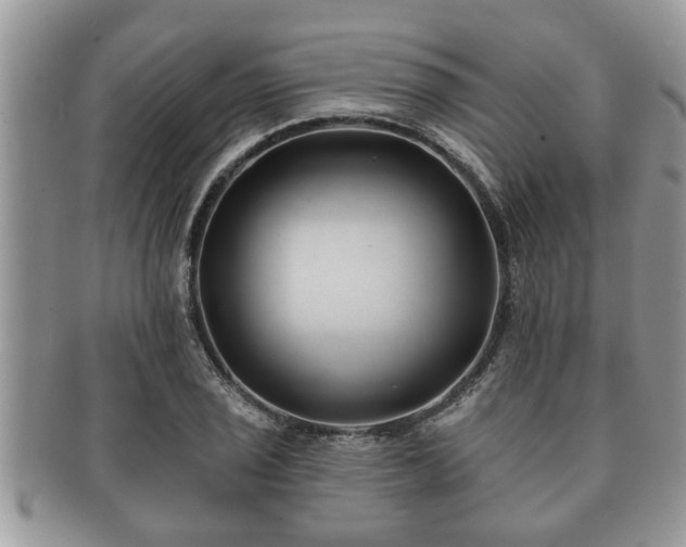 X0000091171029200708161455