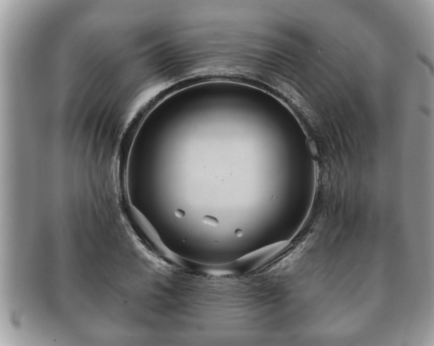 X0000091171030200708161455