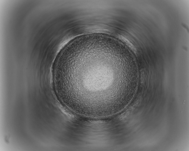 X0000091171031200708161455