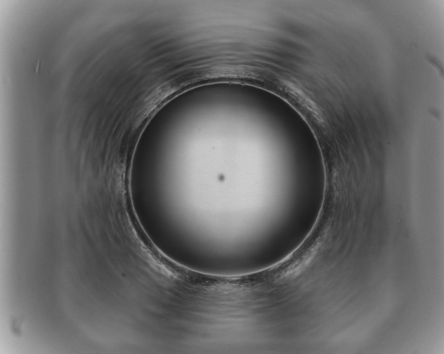 X0000091171033200708161455