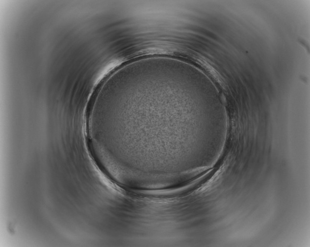 X0000091171034200708161455