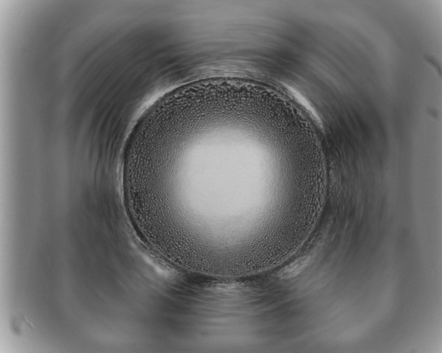 X0000091171035200708161455