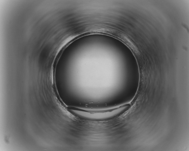 X0000091171036200708161455