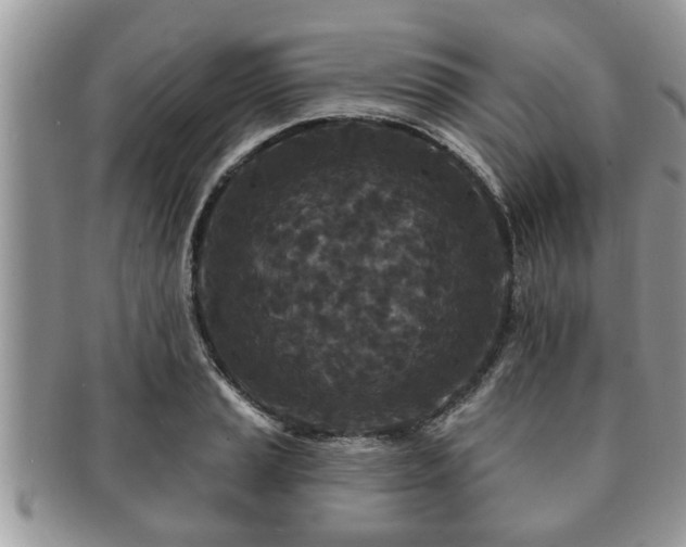 X0000091171037200708161455