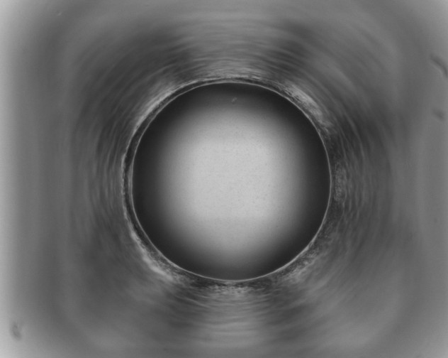 X0000091171039200708161455