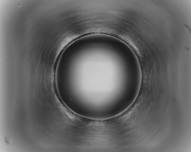 X0000091171040200708161455