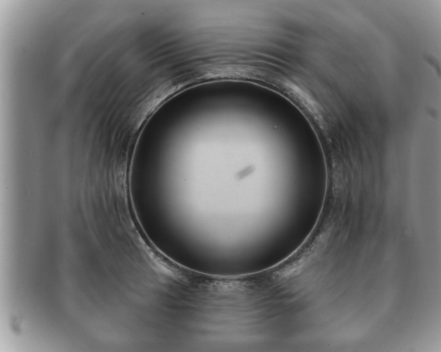 X0000091171041200708161455