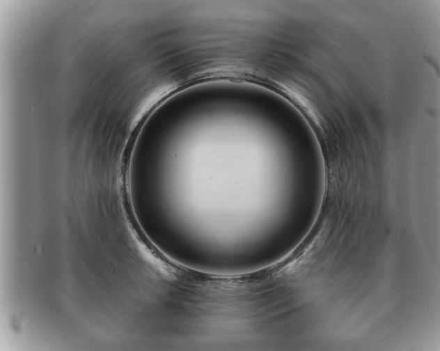 X0000091171042200708161455