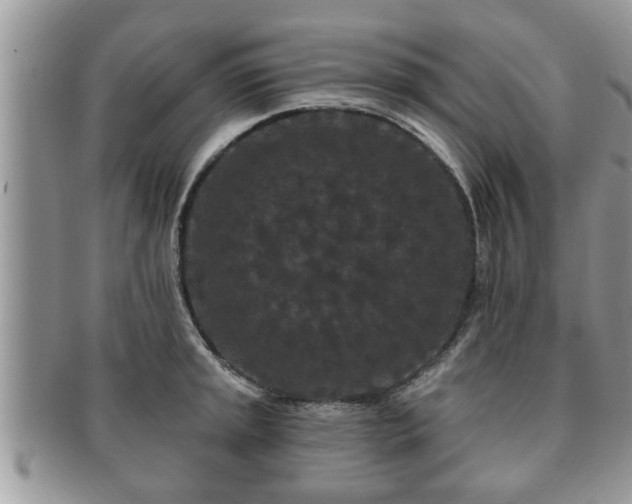 X0000091171045200708161455