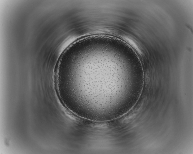 X0000091171047200708161455