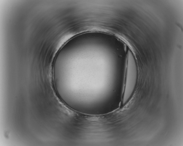 X0000091171048200708161455