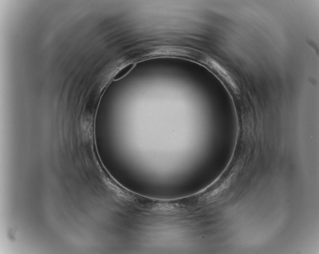 X0000091171049200708161455