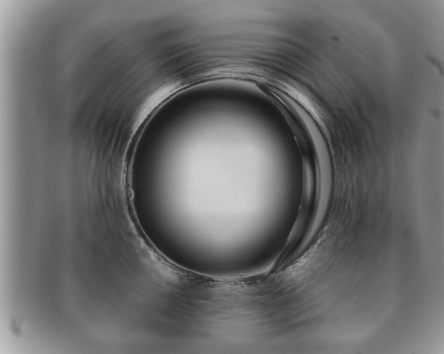 X0000091171050200708161455